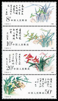 T129 中国兰花